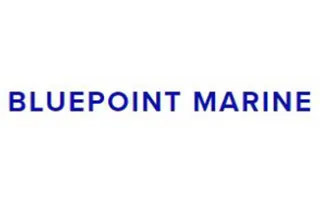 Bluepoint Marine logo